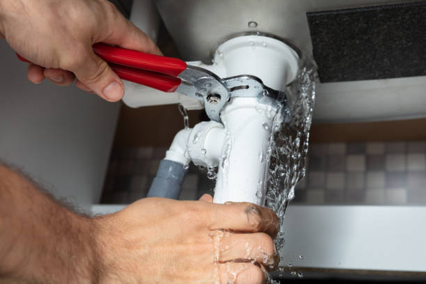 Best Professional water damage repair  in Mount Zion, IL