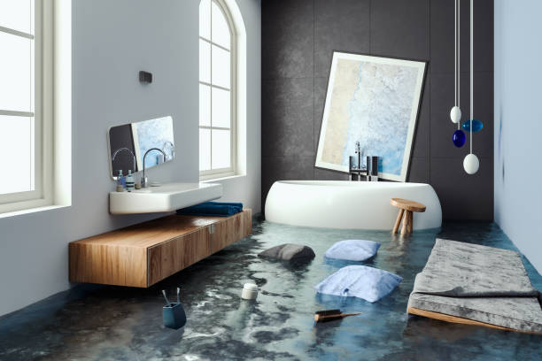 Best Emergency water damage restoration  in Mount Zion, IL