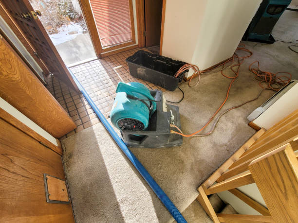 Best Flooded house restoration  in Mount Zion, IL