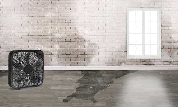Best Emergency water damage restoration  in Mount Zion, IL