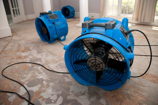 Best 24-hour water damage restoration  in Mount Zion, IL