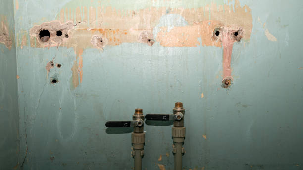 Best Water damage restoration cost  in Mount Zion, IL