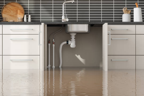 Best Water damage cleanup near me  in Mount Zion, IL