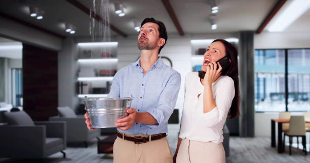 Best Fire Damage Restoration  in Mount Zion, IL