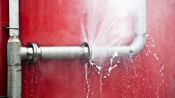 Best Local water damage restoration  in Mount Zion, IL