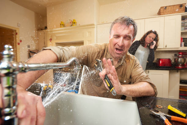  Mount Zion, IL Water damage restoration Pros